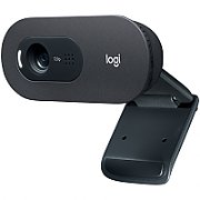 LOGITECH C505 HD Webcam - BLACK - EMEA