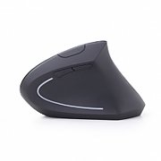 Gembird MUSW-ERGO-01 mouse RF Wireless Optical 1600 DPI Right-hand