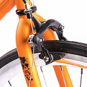 PEGAS CLASIC 2S DROP LADY 50CM PORTOCALI