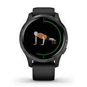Ceas Smartwatch Garmin Venu 2S, GPS Wi-Fi, Grey + Slate