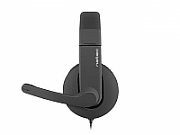 Natec Genesis Rhea Headset Head-band Black