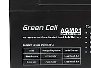 Green Cell AGM Battery 6V 12Ah - Batterie - 12.000 mAh Sealed Lead Acid (VRLA)