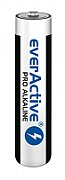 Alkaline batteries AAA / LR03 everActive Pro - 4 pieces (blister)