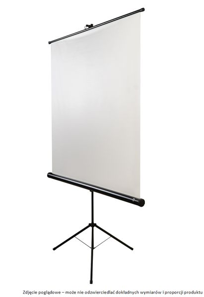Avtek Tripod Standart 175 projection screen 1:1