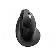 MOUSE Kensington - trackball, PC sau NB, wireless, 2.4GHz, optic, 1600 dpi, butoane/scroll 6/1, butoane programabile, ergonomic, negru,  K75501EU  (include TV 0.18lei)