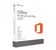 MS OVL Office Pro Plus Lic/SA Pltfm 1Y2Y [NL]