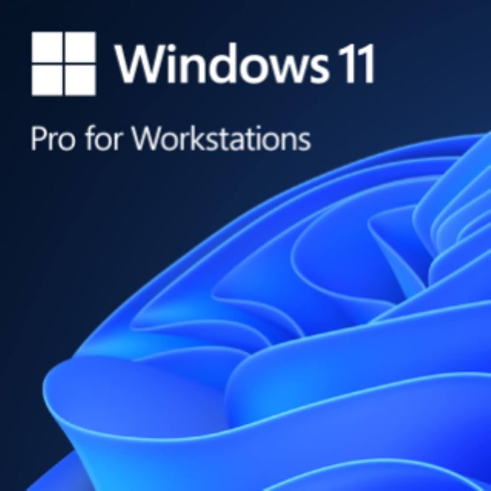 MS SB Windows 11 Pro for Workstations [UK] DVD