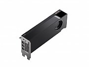 Graphics Card. PNY NVIDIA RTX A2000 12 GB Bulk