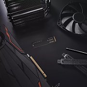 Western Digital WD SSD M.2 (2280) 2TB Black SN770 PCIe 4.0/NVMe (Di)