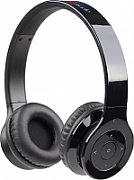 GEMBIRD MHS-EP-001 Stereo metal earphones with microphone and volume control black-white