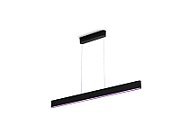 Ensis Hue pendant white 2x39W 24V