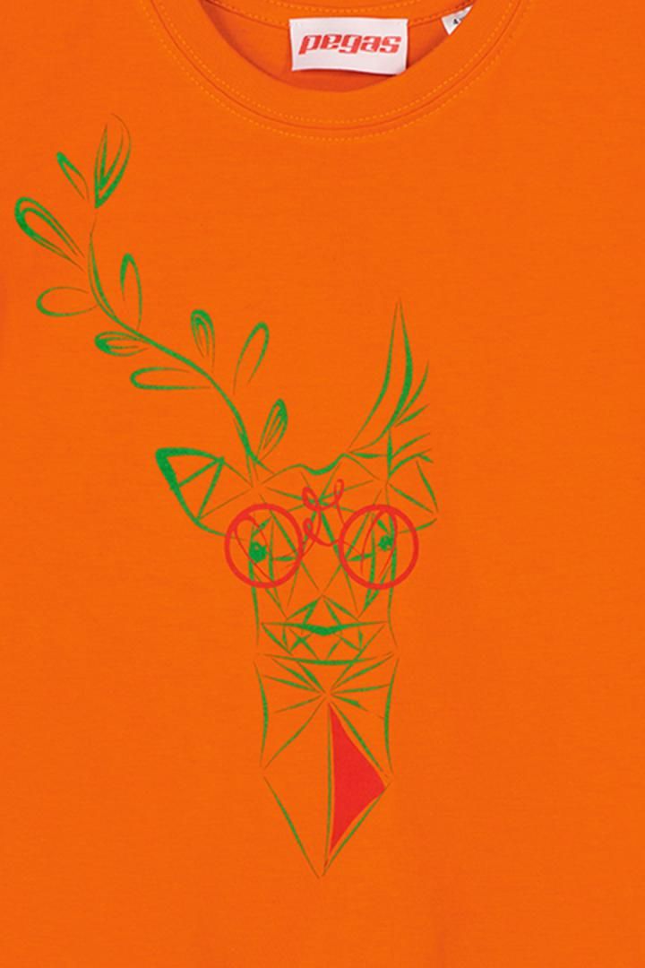 TRICOU  CERB FAMILIE COPII ORANGE-12