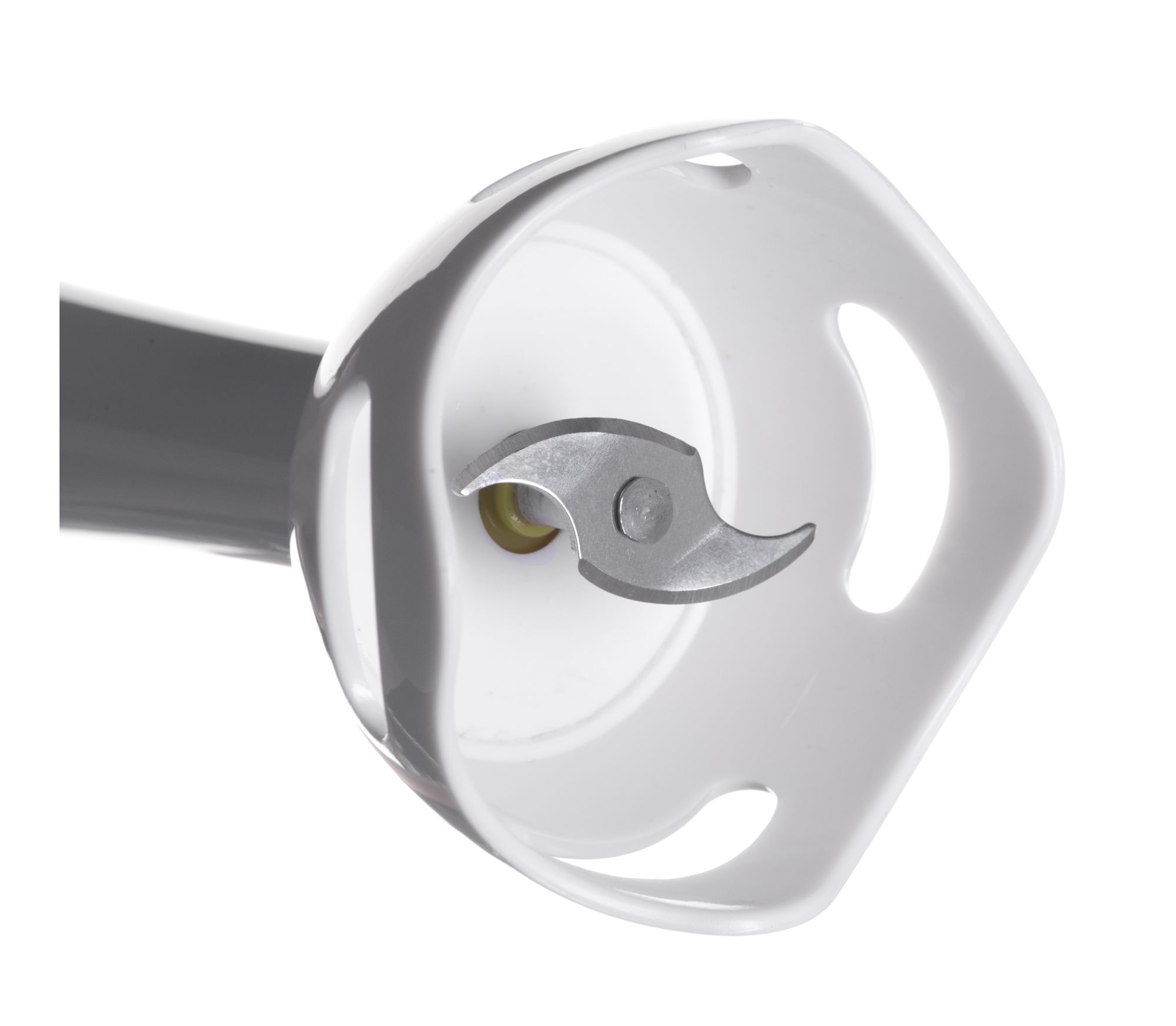 Esperanza EKM001K blender Immersion blender Black,White 250 W