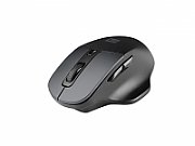 Natec Genesis Blackbird 2 mouse RF Wireless Optical 1600 DPI