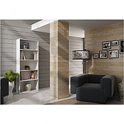 Topeshop R60 BIEL office bookcase