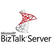 MS OVL BizTalk Svr Std Core 2Lic SA ADD 1Y1Y [NL]