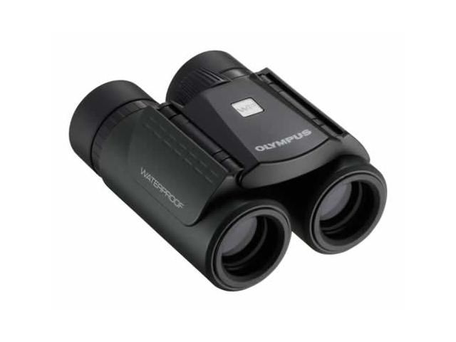 Olympus  10X21 RCII DARK SILVER