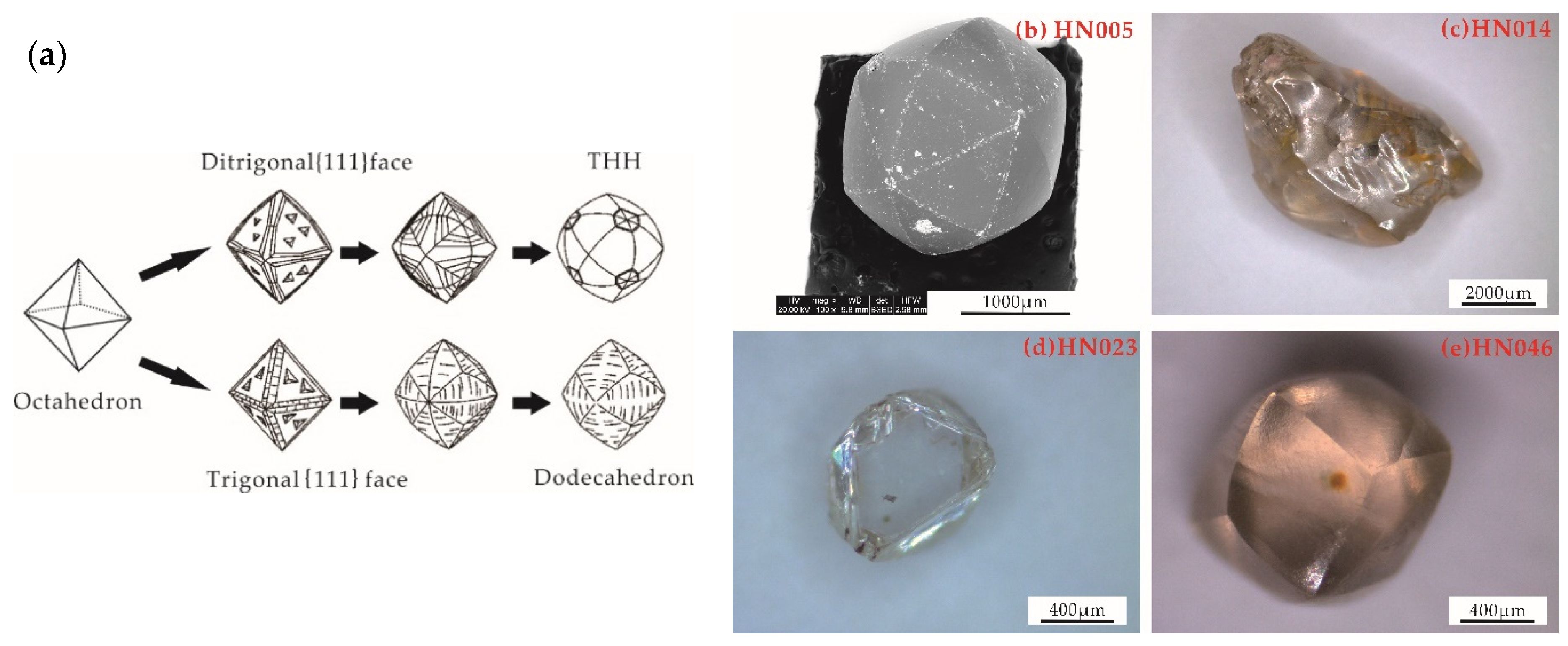 NB MOBILE Schutztuch Terra für 14  Notebooks