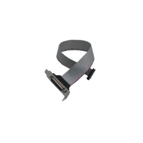 FTS/ Asus/Intel/Giga MBZU Parall. Kabel LP