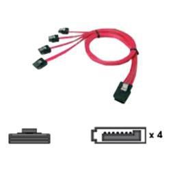 Chenbro Chenbro OCR Kabel Mini-SAS to 4x SATA 0.6m