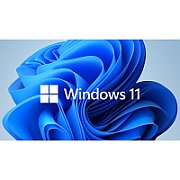 SW OEM GGK WIN 11 PRO 64B/ENG 1PK 4YR-00316 MS