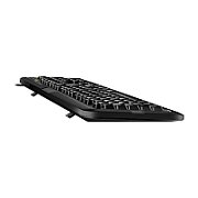 TASTATURA GENIUS USB, 104 taste, black,  KB-118   31310051400   (include TV 0.8lei)x