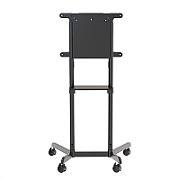 Neomounts by Newstar NS-M1250BLACK Mobile Monitor/TV Floor Stand for 37- 70  screen - Black  Specifications General Min. screen size*: 37 inch Max. screen size*: 70 inch Min. weight: 0 kg Max. weight: 70 kg Screens: 1 VESA pattern: 200x200, 200x300, 200x400, 300x200, 300x300, 350x350, 400x200
