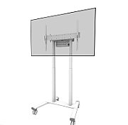 Stand mobil motorizat Neomounts by Newstar, 37 -100 , 110 kg, VESA 800x600, alb