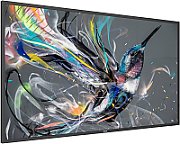 Ecran profesional Philips Q-Line 65 