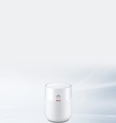 Huawei OptiXstar K562,Edge ONT Terminal,European Standard Adapter,English doc,Europe,Enterprise