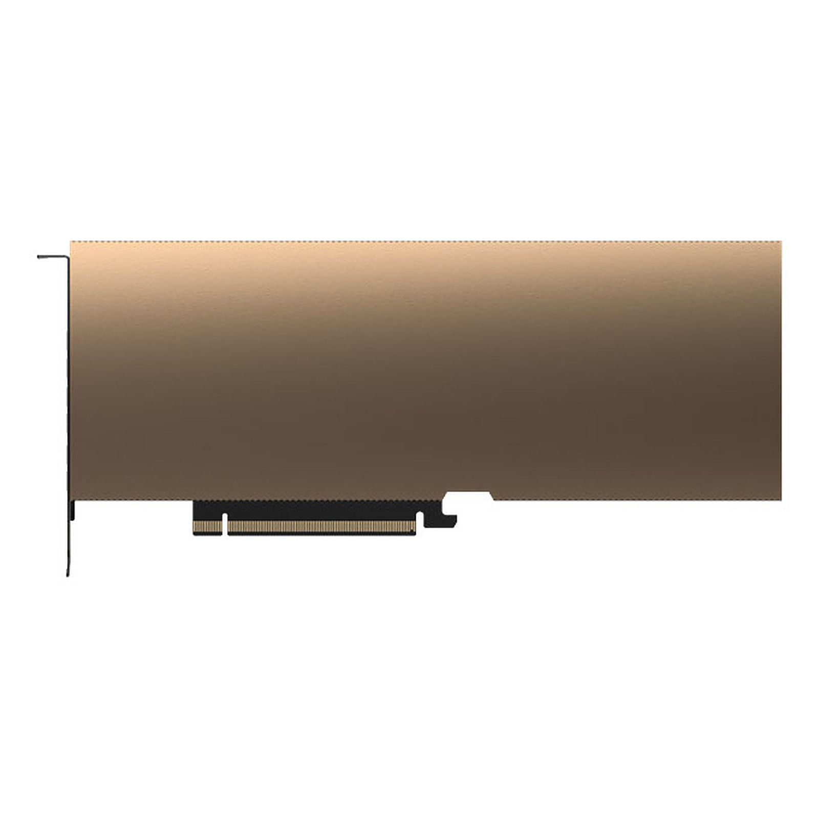 PNY Technologies NVIDIA L40S Modul 48GB GDDR6 4xDP