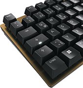 CHERRY Keyboard KC 200 MX MX2A BROWN [DE] white/silver MX2A BROWN Switch