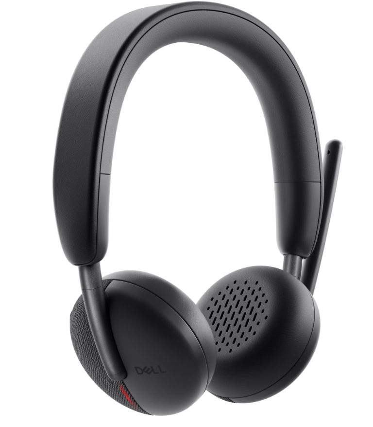 DELL WIRELESS HEADSET WL3024