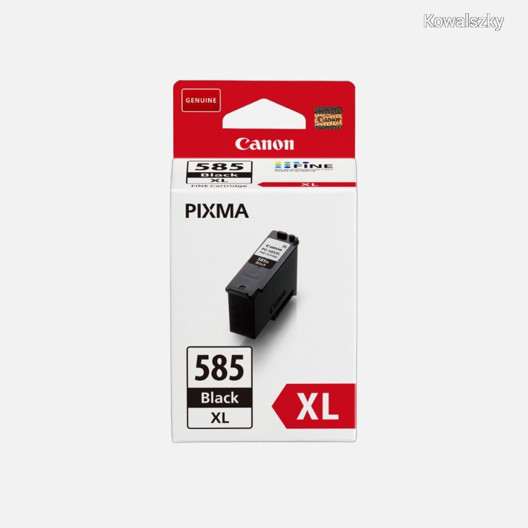 Cartus cerneala Canon 6204C001AA ,Negru ,300 pagini ,Original (PG585xl) 