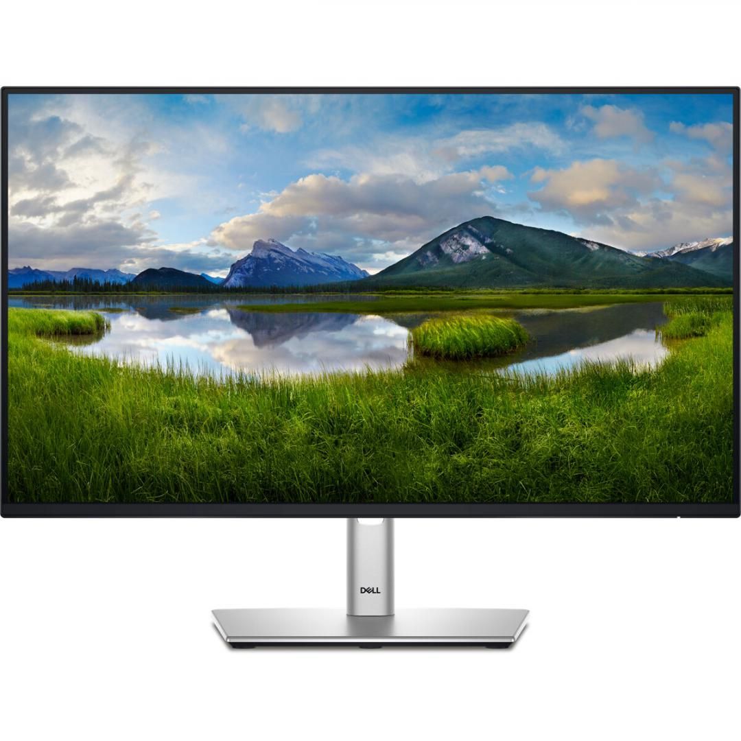 Monitor 23.8 inch LED DELL P2425H 1920 X 1080 pixeli, 100 Hz, 5 ms, Negru/Argintiu