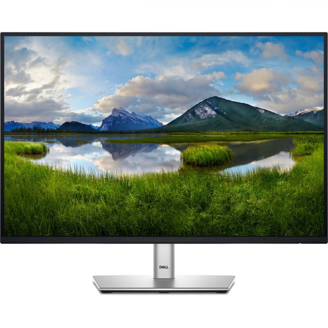 Monitor 24.07 inch LED Dell P2425E 1920 x 1200 pixeli, 100 Hz, 5 ms, Negru/Argintiu