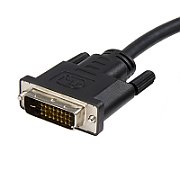 6FT DISPLAYPORT TO DVI CABLE/.