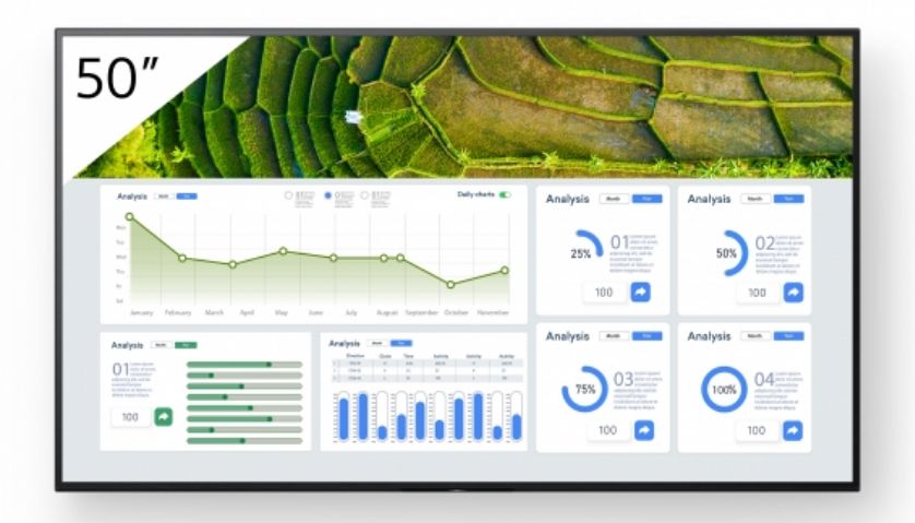 FW-50BZ30L 50INCH PRO/BRAVIA LCD 440NIT