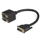 1FT DVI-D VIDEO SPLITTER CABLE/.