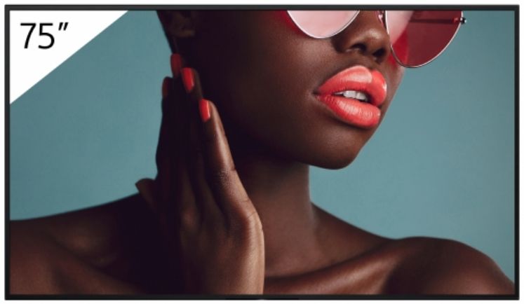 FW-75BZ40L 75INCH PRO/BRAVIA LCD 700NIT HAZE