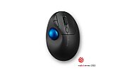TRACKBALL PRO FIT ERGO TB450/PROFIT ERGO TB450 TRACKBALL BLK