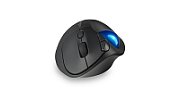 TRACKBALL PRO FIT ERGO TB450/PROFIT ERGO TB450 TRACKBALL BLK