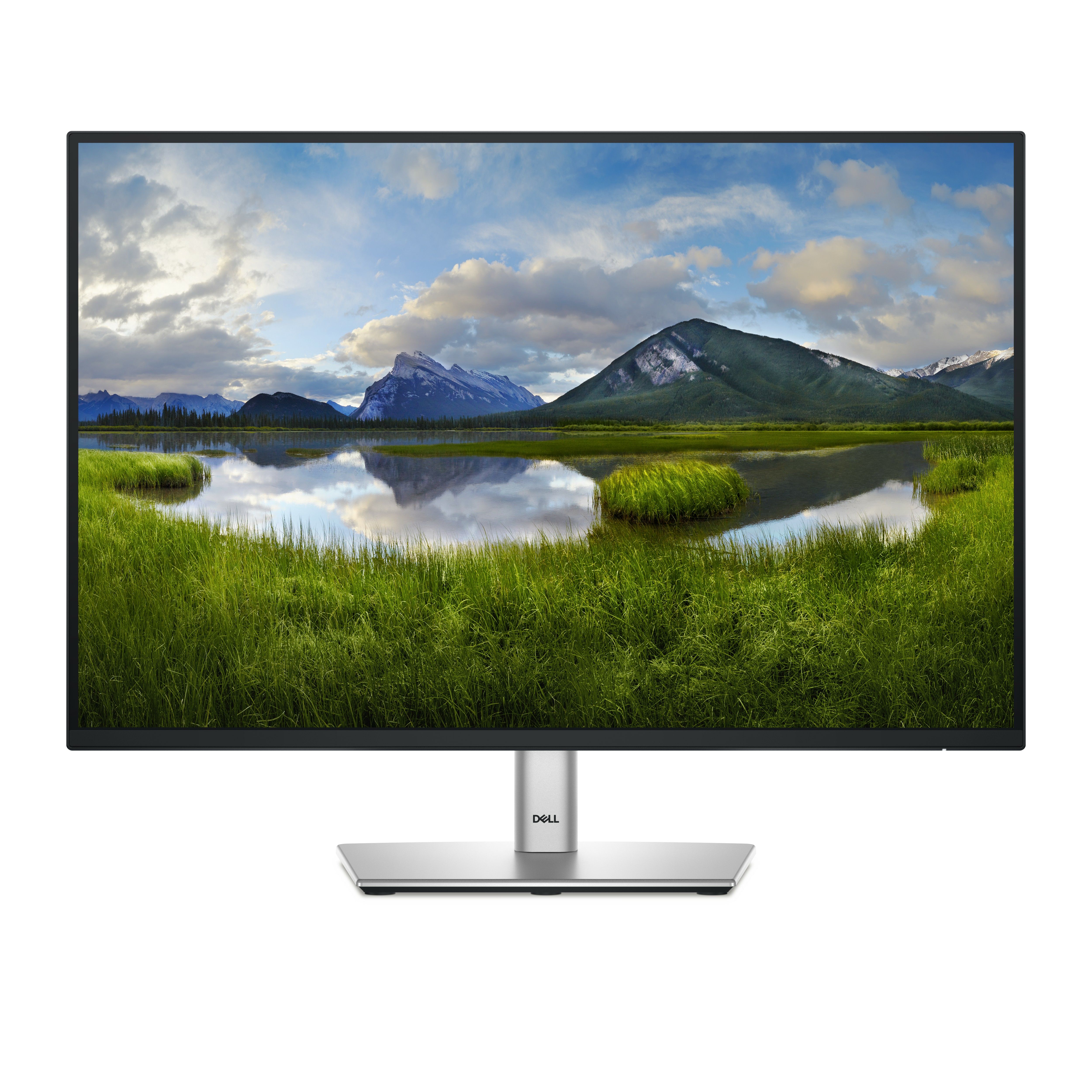 Monitor 24.07 inch LED Dell P2425E 1920 x 1200 pixeli, 100 Hz, 5 ms, Negru/Argintiu