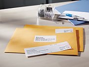 LW-LABELS 28X 89MM SHIPPING/WHITE 2X 130 PCS