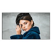 PN-55D3 55IN FHD 500CD/QM/1200:1 5MS DP HDMI DVI VGA