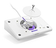 TAP IP - OFF-WHITE - WW/