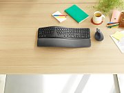 ERGO K860 FOR BUSINESS-GRAPHITE/DEU - CENTRAL