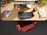 ERGO K860 FOR BUSINESS-GRAPHITE/DEU - CENTRAL