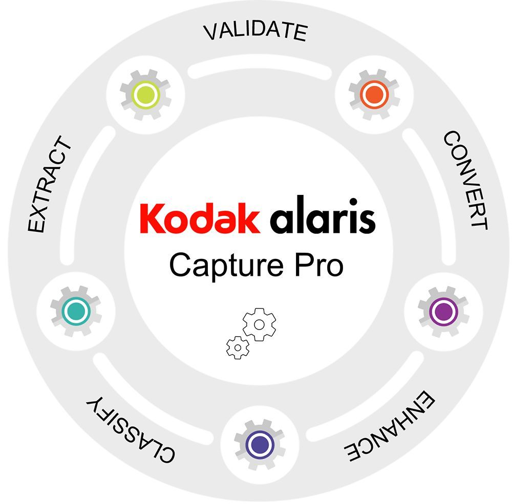 RENEWAL CAPTURE PRO GR.DX 1 J/.