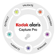 CAPTURE PRO SW GRUPPE DX 3 J./FOR SCANNER I4200